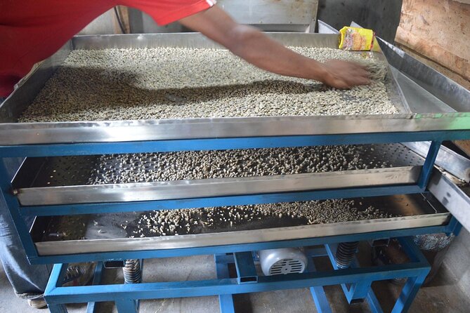 Sarangkot Village Coffee Culture and Authentic Local Life Tour - The $60 price: what you’re actually getting for your money