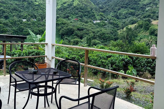 Sueños de Cafe - A Coffee Lovers Dream - Price and value: what $209 buys you (and what it doesn’t)