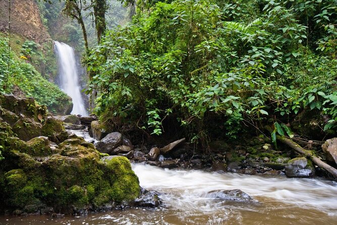 Super Combo Tour: Waterfalls Gardens + Coffee Tour + Poás Volcano - A 6:30am start that actually makes sense