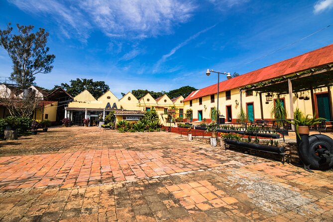 The Colors of Coffee in the Farms of Coatepec - A Full-Day Coatepec Coffee Circuit from Veracruz