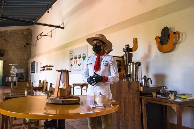 The Colors of Coffee in the Farms of Coatepec - What the Included Coffee Tastings Actually Do for You
