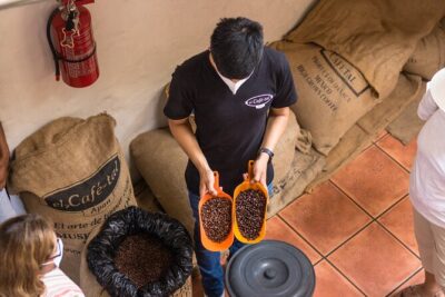 The Colors of Coffee in the Farms of Coatepec - Museo El Lencero: Gardens, the Hacienda Setting, and Antonio López de Santa Ana