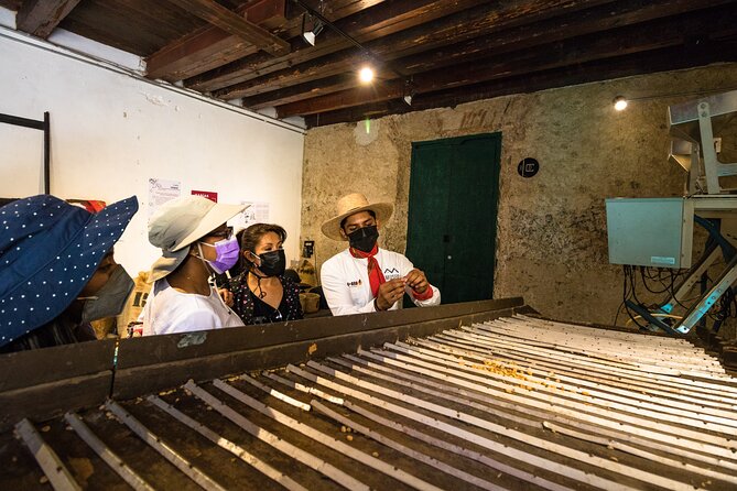 The Colors of Coffee in the Farms of Coatepec - Price and Value: Is $134.65 a Fair Deal?