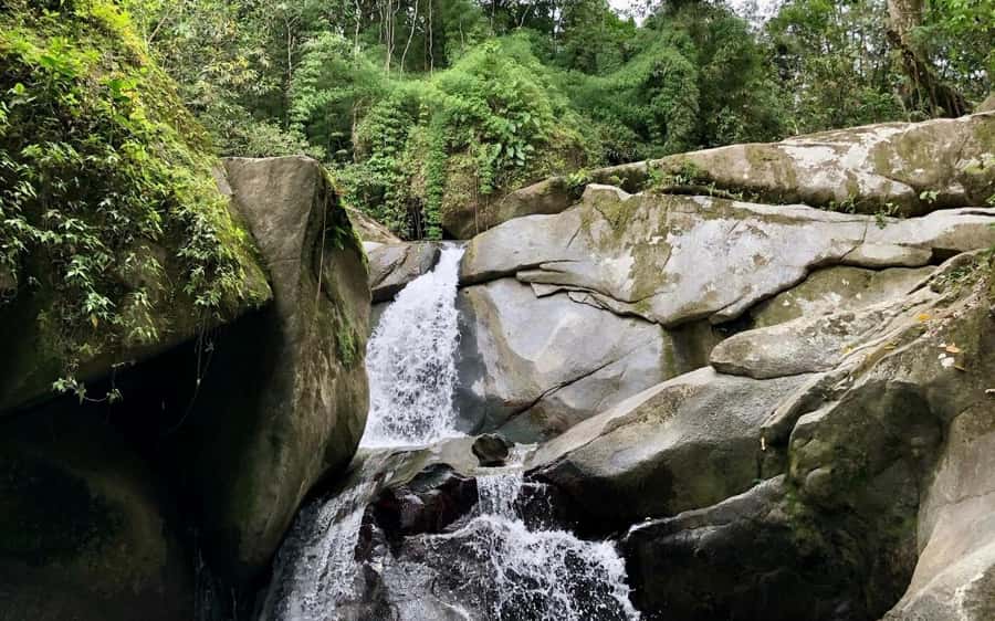 Trekking History and Indigenous Heritage in Minca + Cacao & Coffee + Waterfall - Key things that make this tour worth your time