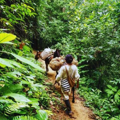 Trekking History and Indigenous Heritage in Minca + Cacao & Coffee + Waterfall - Getting started at Parque de Minca (and why meeting location matters)
