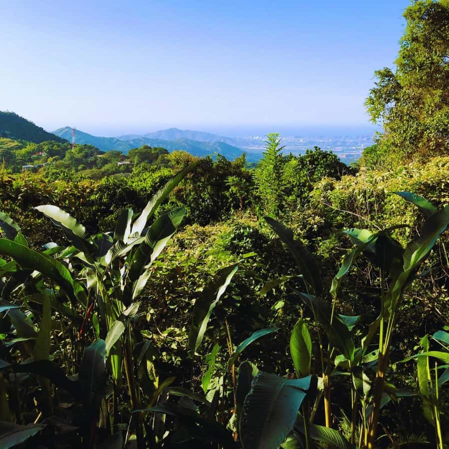 Trekking History and Indigenous Heritage in Minca + Cacao & Coffee + Waterfall - What to bring (and how to avoid the annoying mistakes)