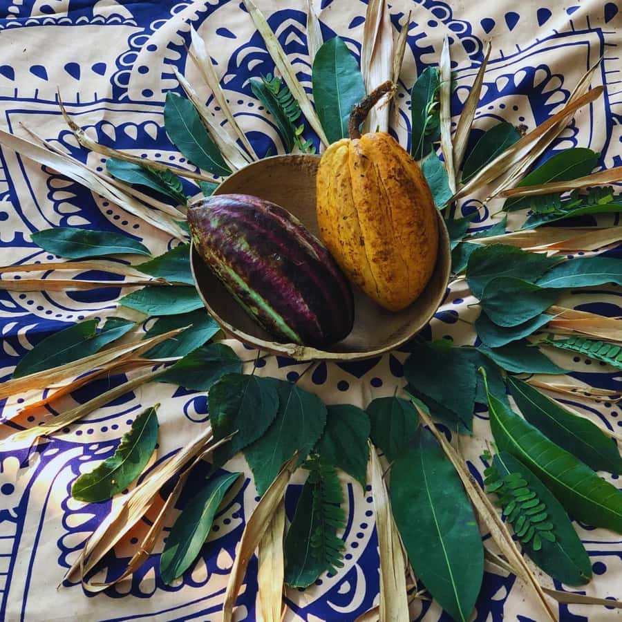 Trekking History and Indigenous Heritage in Minca + Cacao & Coffee + Waterfall - Who this tour fits best (and who might want a different plan)