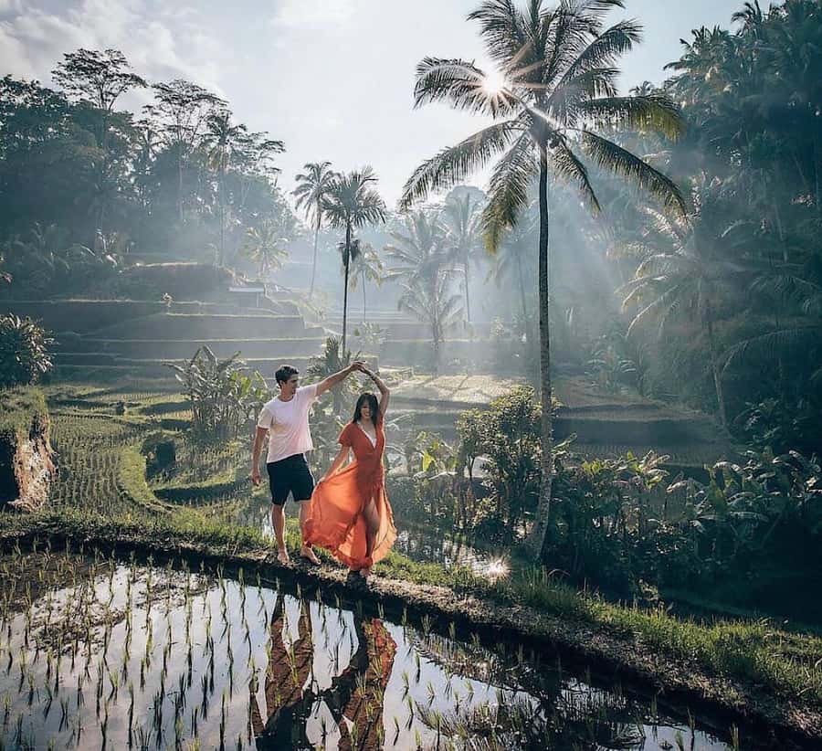 Ubud: Waterfall, Holy Water Temple,Swing&coffee plantation - Ubud Jungle Swing at Alas Harum: famous views, swing tickets are on you