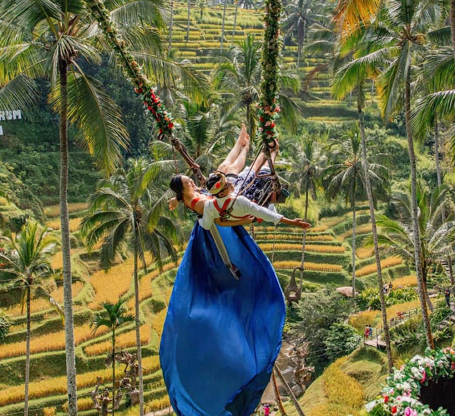 Ubud: Waterfall, Holy Water Temple,Swing&coffee plantation - Price and logistics: what $24 covers, and what to budget for