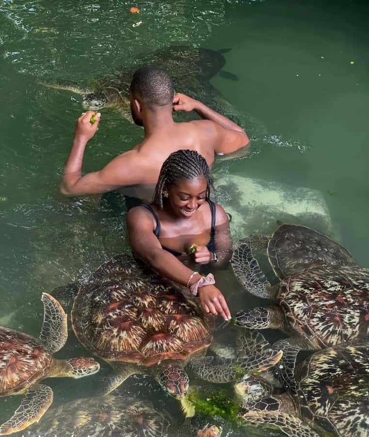 ZANZIBAR: Sea Turtle Swimming & Feeding Experience in NUNGWI - Conservation lessons you’ll actually remember (and repeat later)