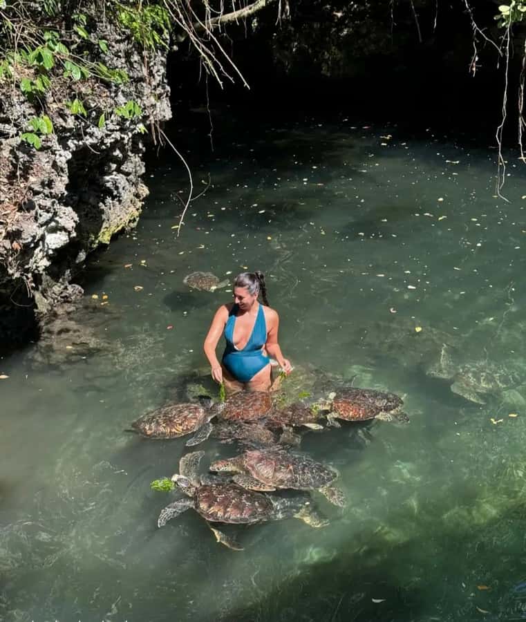 ZANZIBAR: Sea Turtle Swimming & Feeding Experience in NUNGWI - Who should book this sea turtle swim in Nungwi