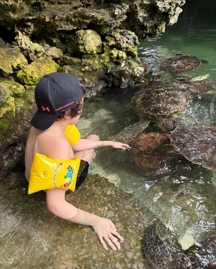 ZANZIBAR: Sea Turtle Swimming & Feeding Experience in NUNGWI - Should you book this tour?